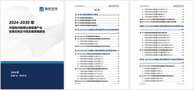 2024年中国电压暂降治理装置行业市场全景调查及投资前景研究报告(图5)